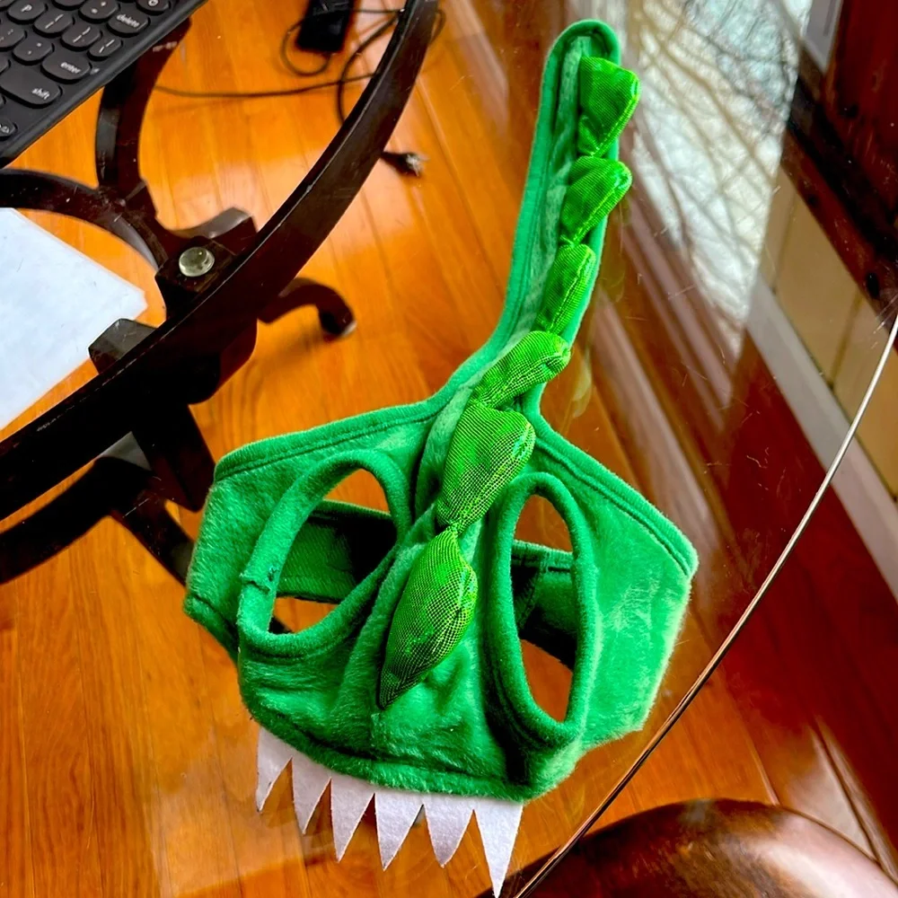 Cat Dinosaur Clothing